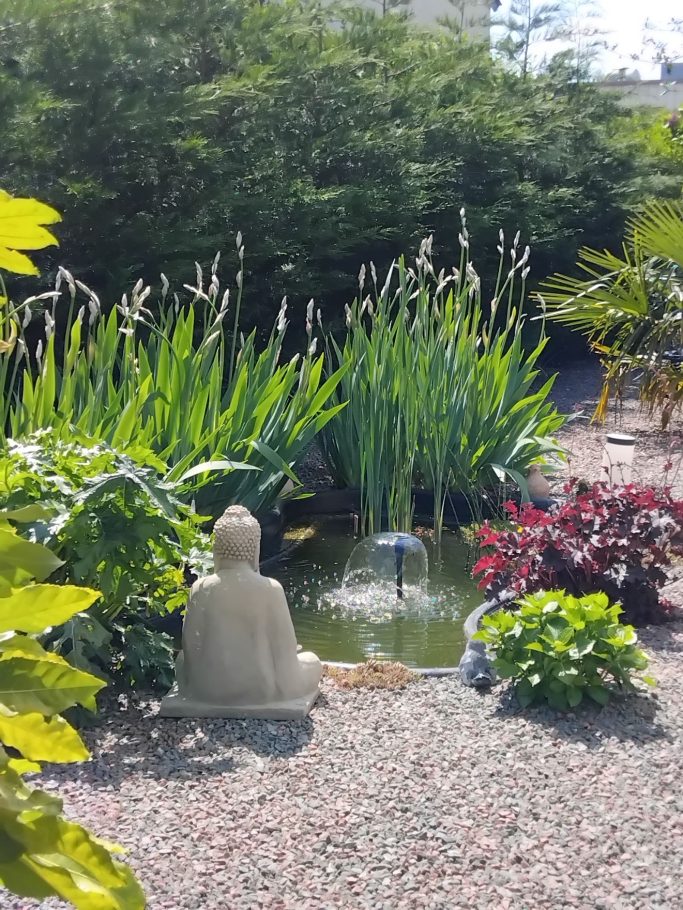 Un coin d’eau et de sérénité