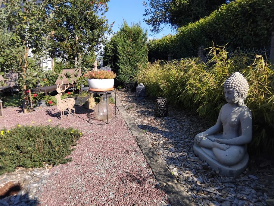 Coté ZEN